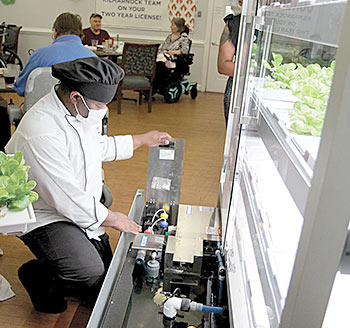 Farming on a micro scale brings big benefits - Rappahannock Record