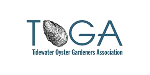 TOGA Tidewater Oyster Growers Association