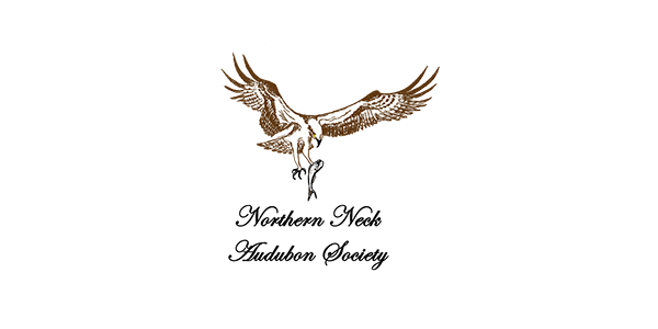 Audubon announces upcoming activities